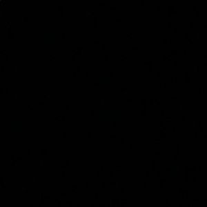 Meet your Posher, Roberto